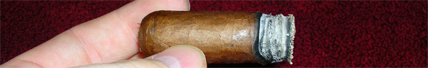 Top Shelf Signature Select - Red Label - Pure Corojo - 5